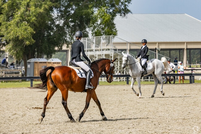 Enjoy horse competitions and shows at the Florida Horse Park in Liberty.