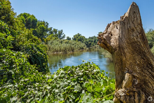 Enjoy a peaceful day at the Stanislaus River near the Del Rio area.