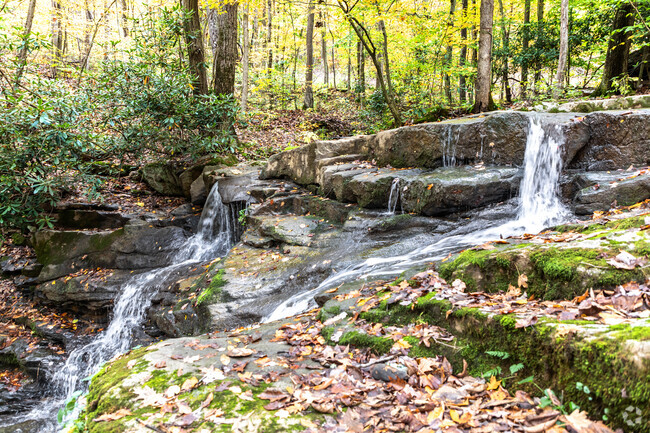 Explore Stewarton Falls and listen to the soothing sounds of flowing water in Springfield.