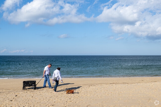 Waves roll onto a secluded beach backed by Cape Cod dunes.