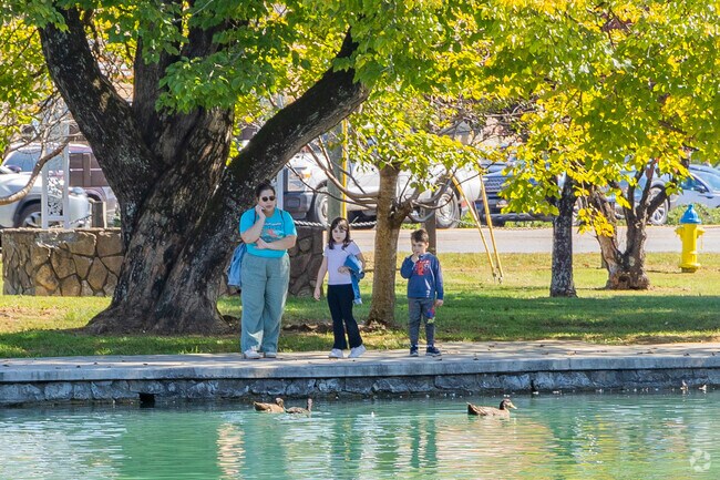 Some Smithwood residents find it relaxing to watch the ducks swim in the Fountain City Lake.