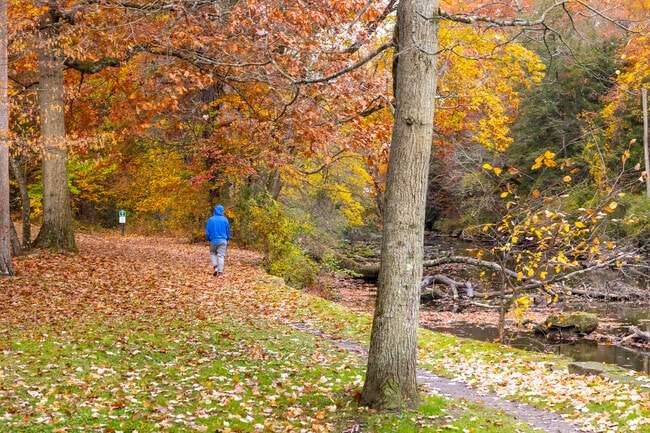 Youngstown residents can unwind while taking a hike at Mill Creek Park.