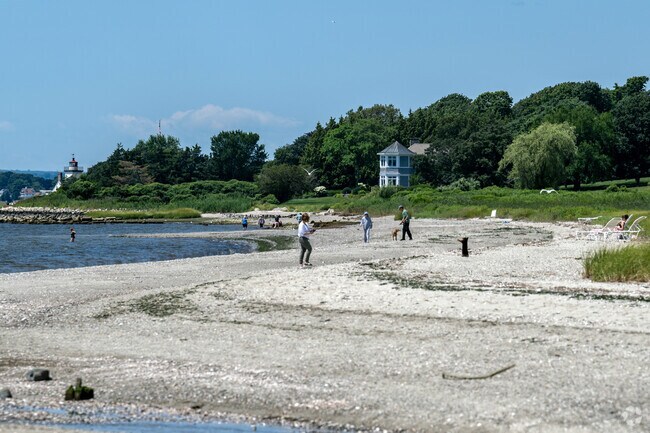 The gulls and dogs compliment a walk along Barrington Beach in the Nayatt neighborhood.