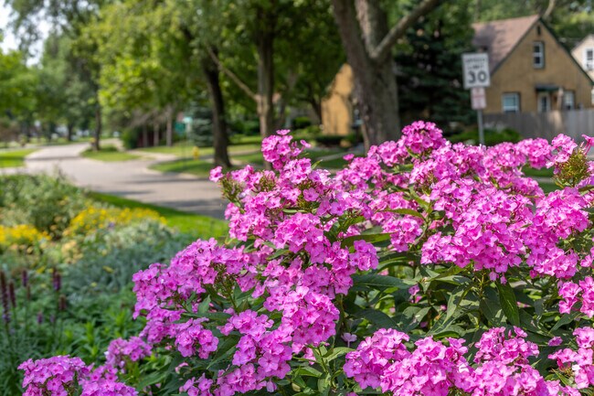 Charming homes with gardens and blooming landscaping are common in the neighborhood of Rolling Green.