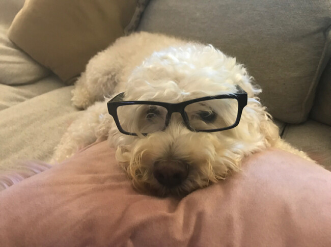Agent Photo