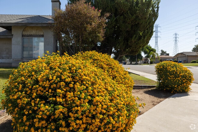 Polo Grounds in Bakersfield is a haven for flower enthusiasts and nature lovers.