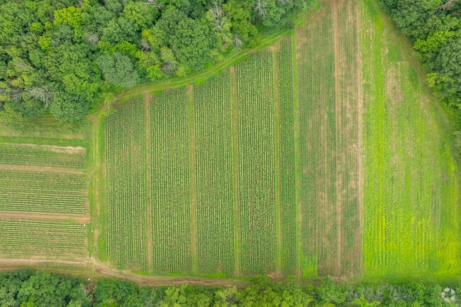 You'll come across a selection of well maintained farmlands in New Hampton.