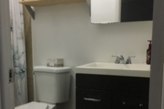 488 E 5th Ct Unit B, Des Plaines, IL 60016