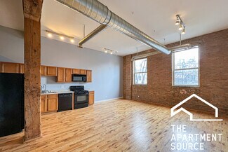 1820 S Bishop St Unit 203, Chicago, IL 60608