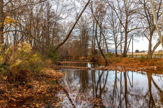 Loy’s Station Park offers fishing and family-friendly recreation.