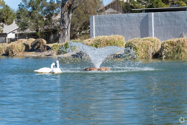 In North Cheyenne, you will see plenty of wildlife enjoying the scenery.
