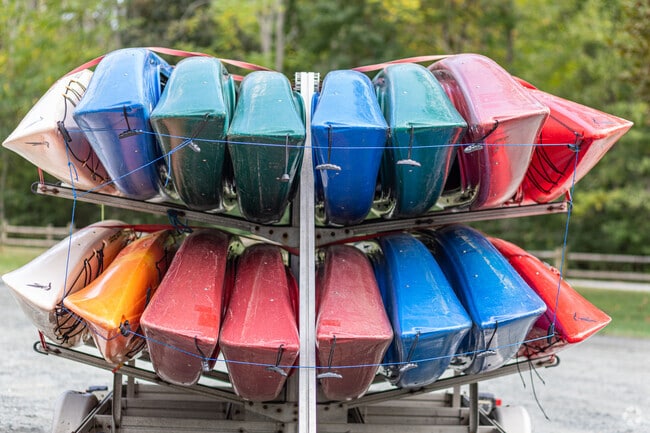 Guided tours explore the ship graveyard and surrounding areas at Mallows Bay Park.