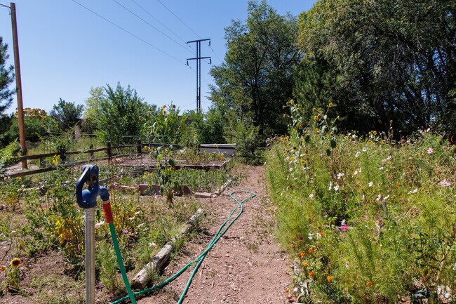 Residents have many different plants growing at the Maclovia Park Community Garden.