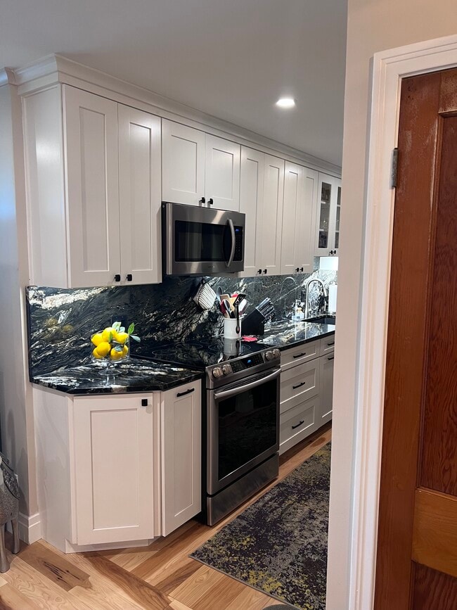 200 Lakefront Blvd unit 205, Buffalo, NY 14202 - photo 5