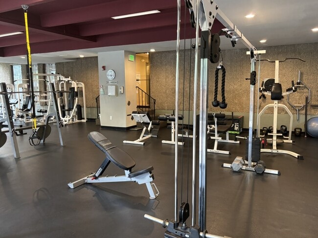 Well Appointed Gym and Weight Room