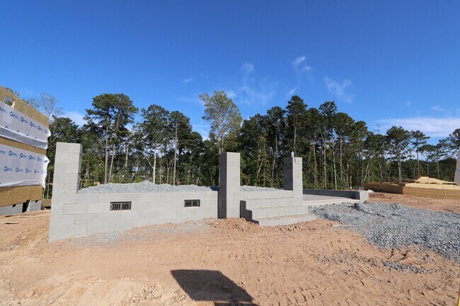 2429 Picual Way, New Hill, NC 27562 - photo 4