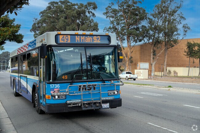 Boarding the bus for a scenic adventure.