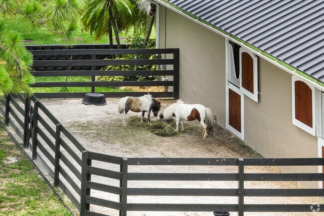 Horses are part of the community in Paddock Park of Wellington neighborhood.
