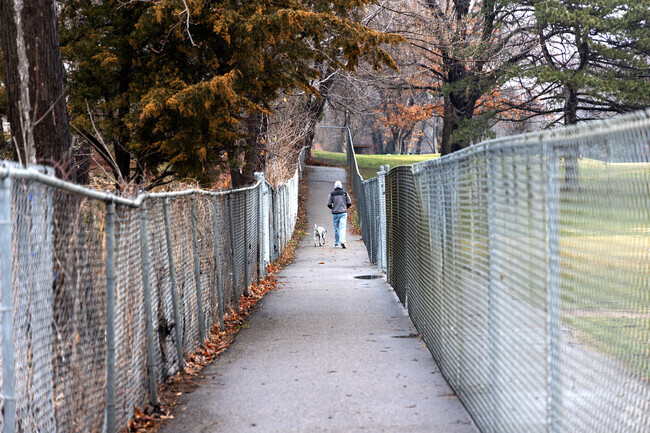 Walking trials weave through Meadow Lake Park.