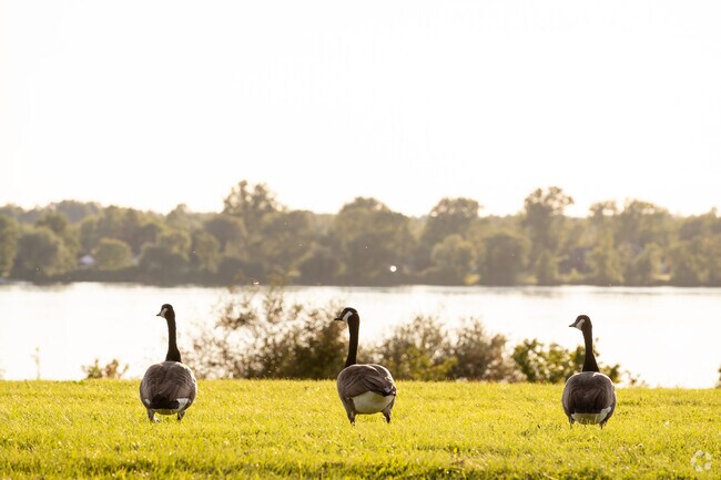 Spending time on Grand Island usually involves plenty of sights of wildlife.