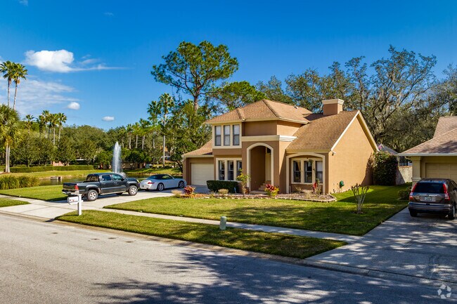 Large Spanish style homes are in Tampa Palms