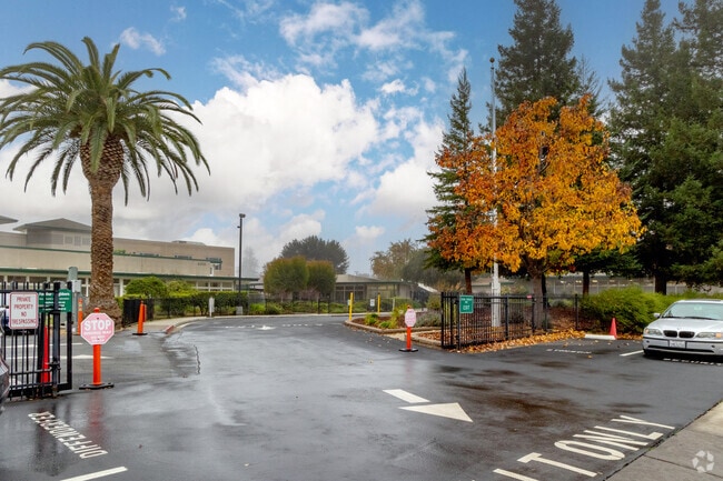 The Harker School Lower Division offers a space where all people can learn and thrive.