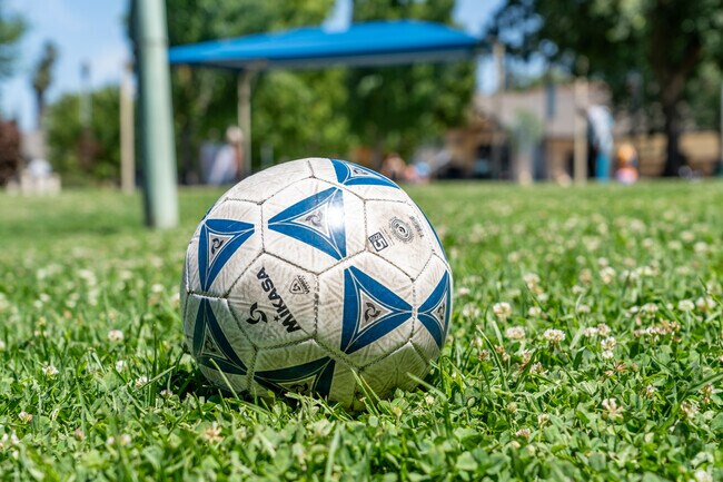 The grass field at Swanston Park is perfect for soccer.