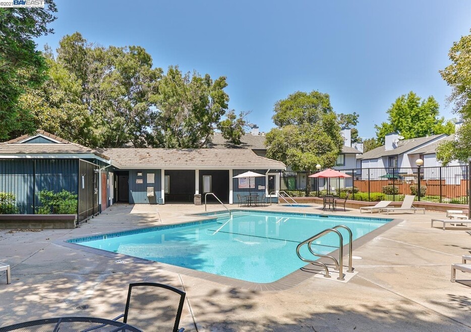 Pool and Common Areas