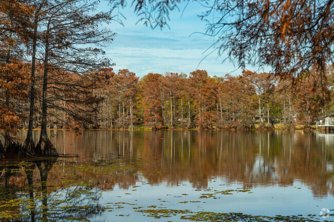 Lakeshore is a fishing community, residents have access to many bodies of water.
