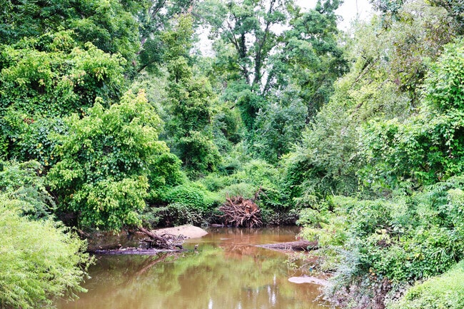 This is the creek for which the neighborhood of Walnut Creek got its namesake.