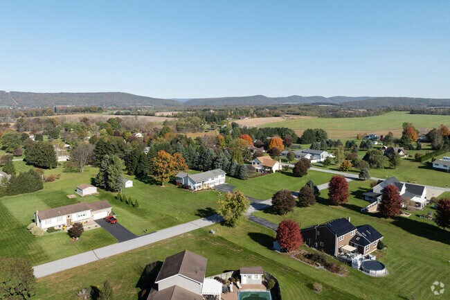 Most homes in the Spring area have large lots to frolic and enjoy.