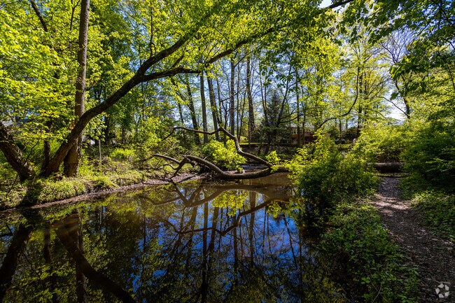 Trail Off Along the Laurel Lake at the Whitman Walk in Laurel Springs.