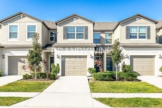 10109 Tabasco Cat Ct, Ruskin, FL 33573
