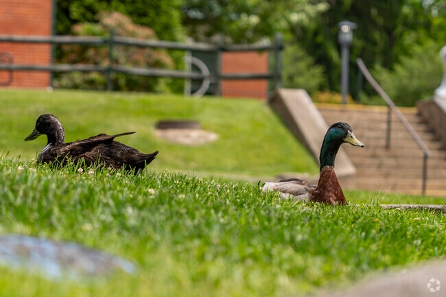 Sugar Grove locals enjoy the deep connection to the beautiful natural surroundings and wildlife of the area.