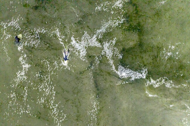 Lido Beach provides some of Long Island's best surfing.