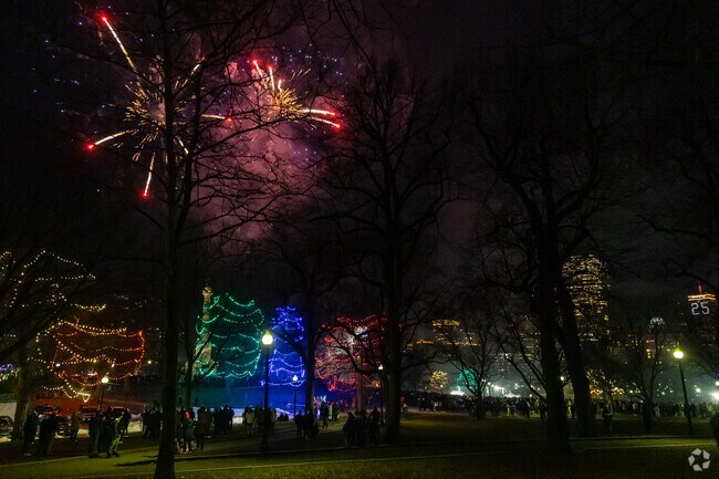 Fireworks light the sky for First Night on Boston Common.