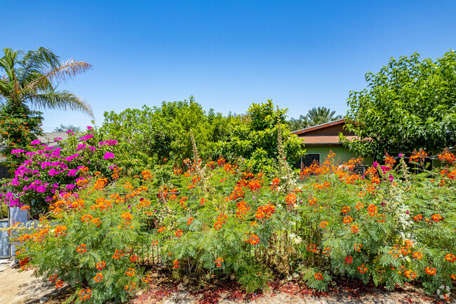 Homes can barely be seen behind the lush beautiful plants in their yards.