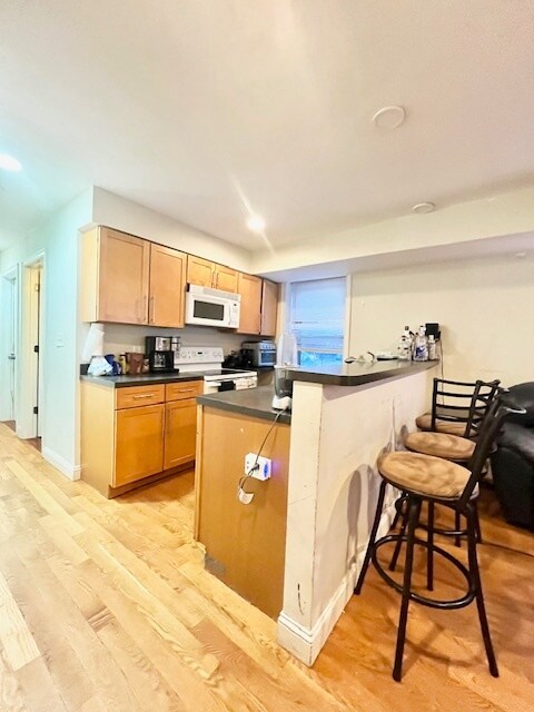 106 Hammond St unit 3, Roxbury Crossing, MA 02120 - photo 6