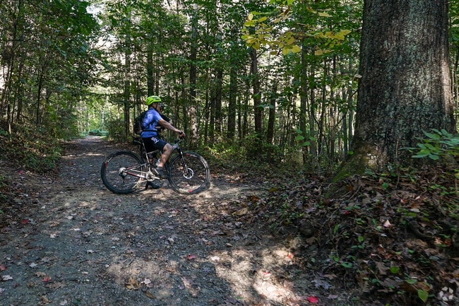 The neighborhood of First Ward is very bike friendly and residents take full advantage of it.