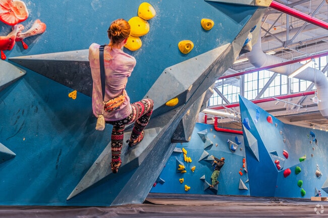 The Bouldering Project is a great source of fun in Gowanus.