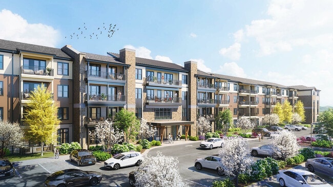 Chorus Asheville 55+ Active Adult Apartment Homes, Asheville, NC 28806 - photo 2