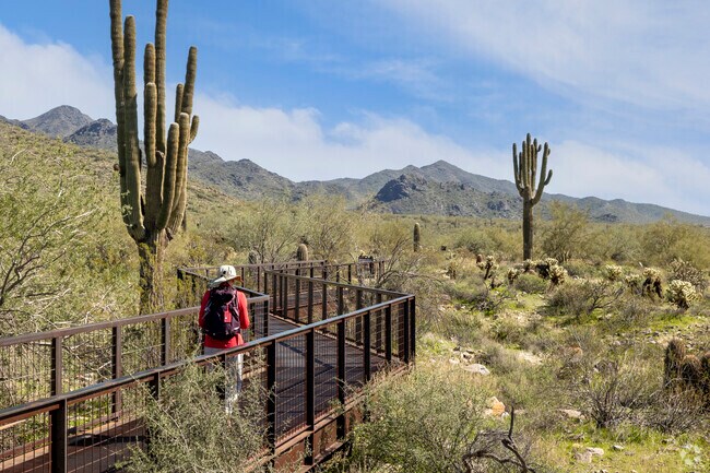 A hike in nature is never far when you live in Scottsdale.