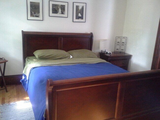 9 Rena St unit Apartment 2, Worcester, MA 01604 - photo 5