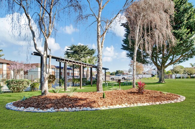 Chestnut Village, Lompoc, CA 93436 - photo 4