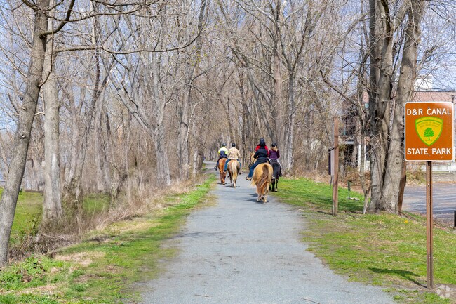 Scenic trails for hiking and biking abound, including the D&R Canal State Park Trail—an ideal destination for nature enthusiasts.