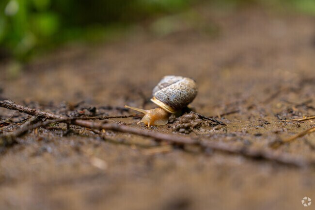 Observe nature as you hike through Groth Nature Preserve.