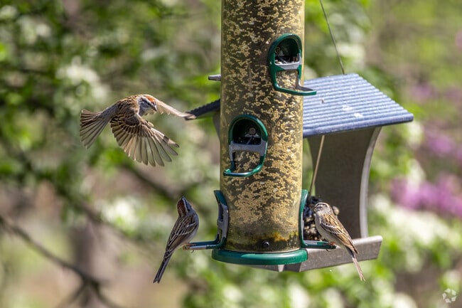 Bird watchers and photographers love the observation area in Fort Washington State Park.