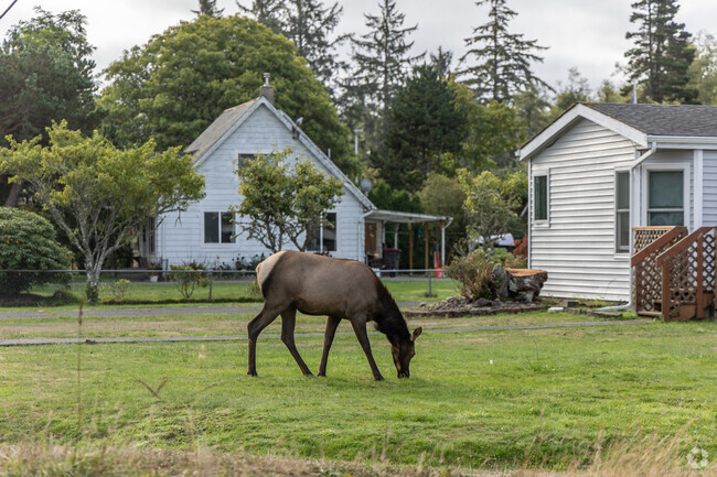 New Astoria residents can experience wildlife right in their front yard.
