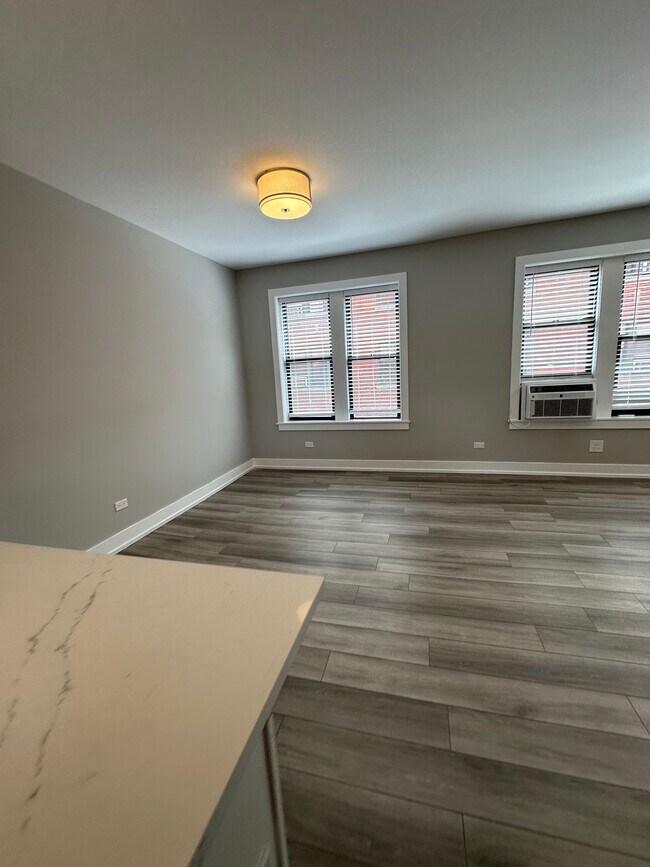 3943 N Janssen Ave unit 1, Chicago, IL 60613 - photo 4