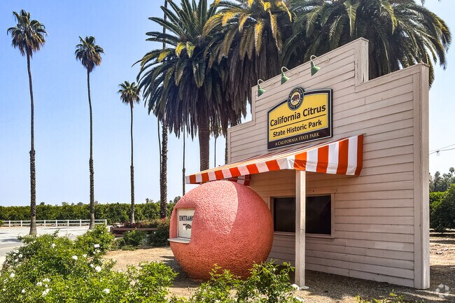 Citrus State Park shows the orange grove history of Riverside.